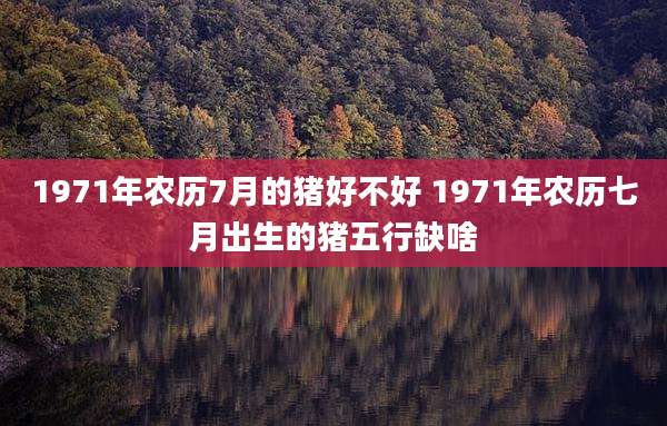 1971年农历7月的猪好不好 1971年农历七月出生的猪五行缺啥