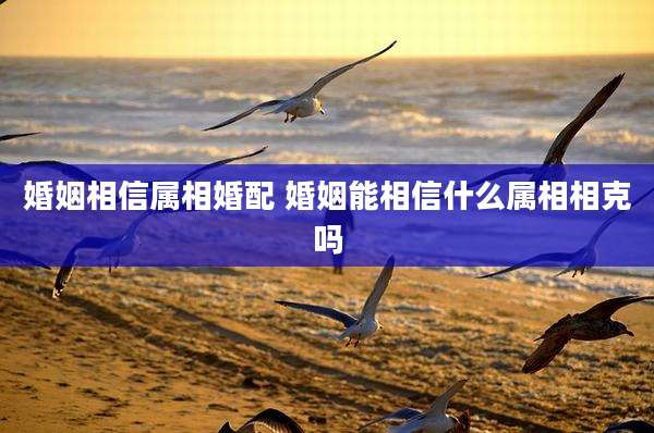 婚姻相信属相婚配 婚姻能相信什么属相相克吗