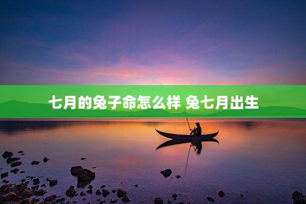 七月的兔子命怎么样 兔七月出生