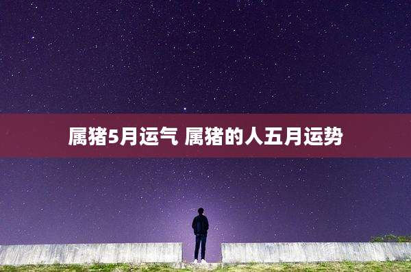 属猪5月运气 属猪的人五月运势
