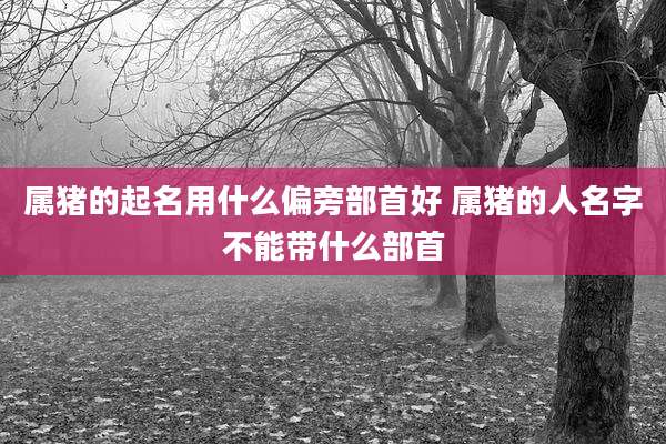 属猪的起名用什么偏旁部首好 属猪的人名字不能带什么部首