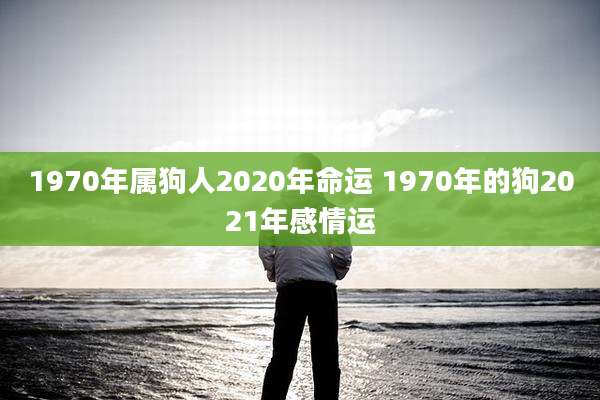 1970年属狗人2020年命运 1970年的狗2021年感情运