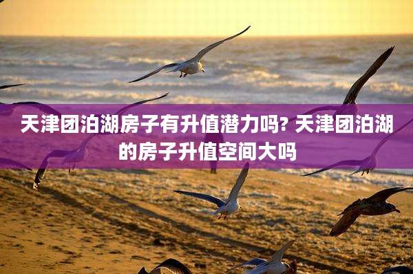 天津团泊湖房子有升值潜力吗? 天津团泊湖的房子升值空间大吗