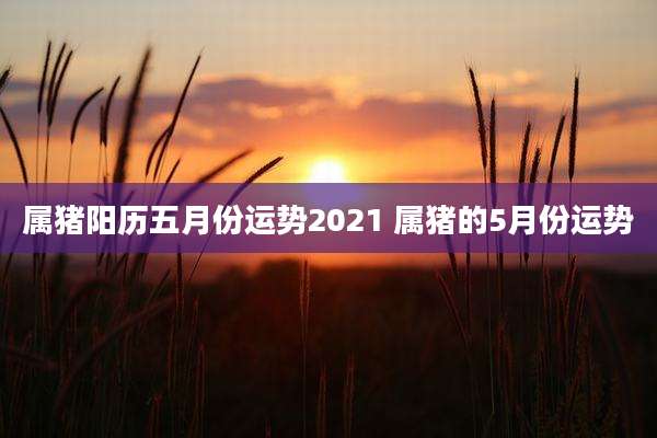 属猪阳历五月份运势2021 属猪的5月份运势