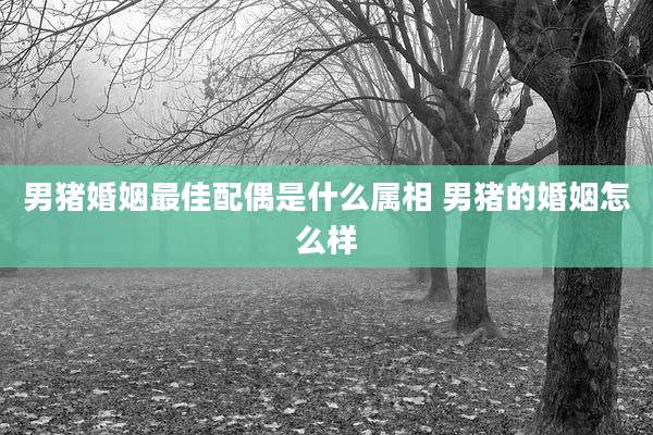 男猪婚姻最佳配偶是什么属相 男猪的婚姻怎么样