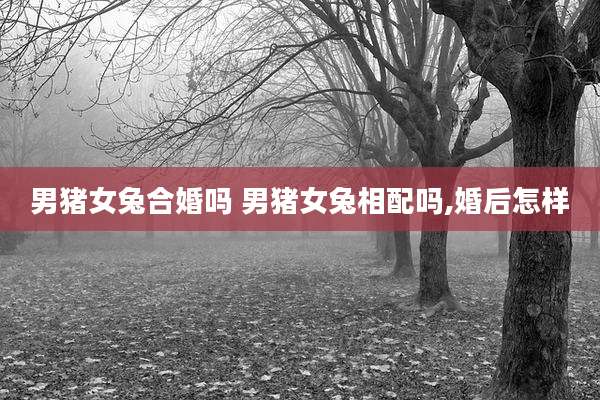 男猪女兔合婚吗 男猪女兔相配吗,婚后怎样