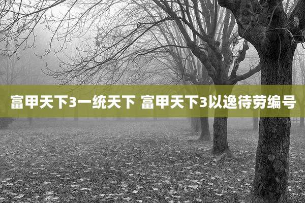 富甲天下3一统天下 富甲天下3以逸待劳编号