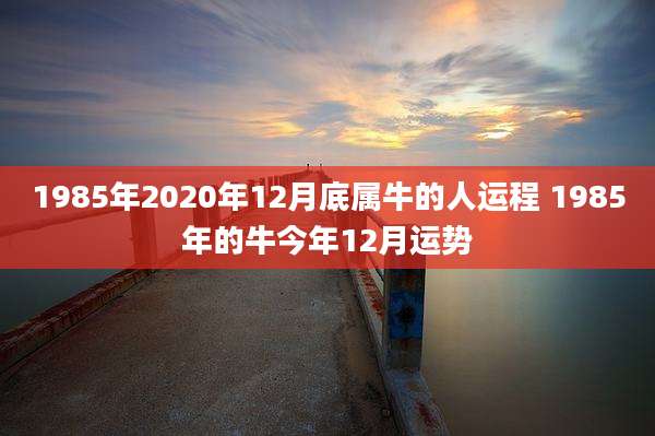 1985年2020年12月底属牛的人运程 1985年的牛今年12月运势