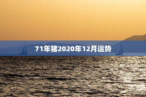 71年猪2020年12月运势