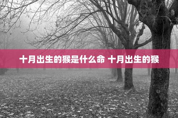 十月出生的猴是什么命 十月出生的猴