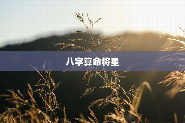 八字算命将星