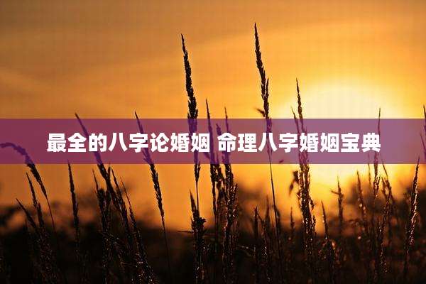 最全的八字论婚姻 命理八字婚姻宝典