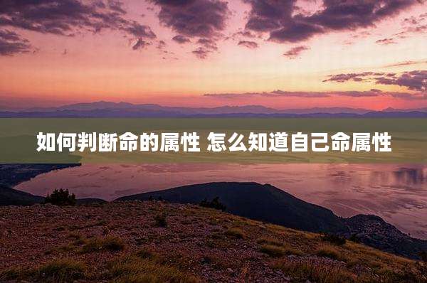 如何判断命的属性 怎么知道自己命属性