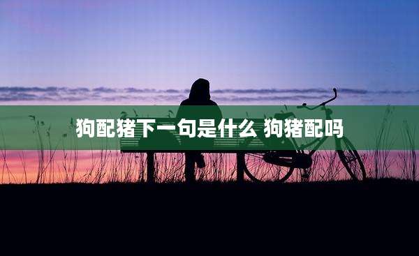 狗配猪下一句是什么 狗猪配吗