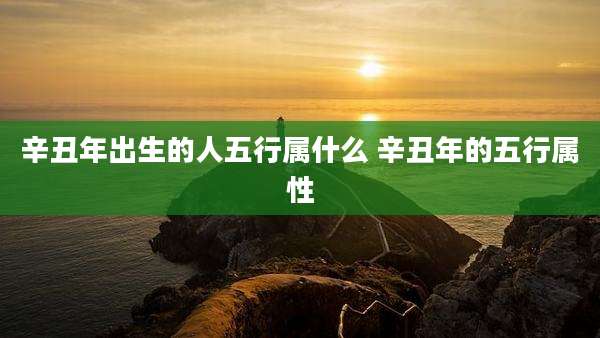 辛丑年出生的人五行属什么 辛丑年的五行属性