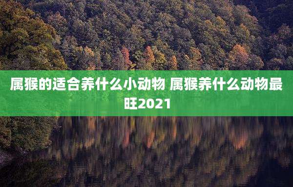 属猴的适合养什么小动物 属猴养什么动物最旺2021