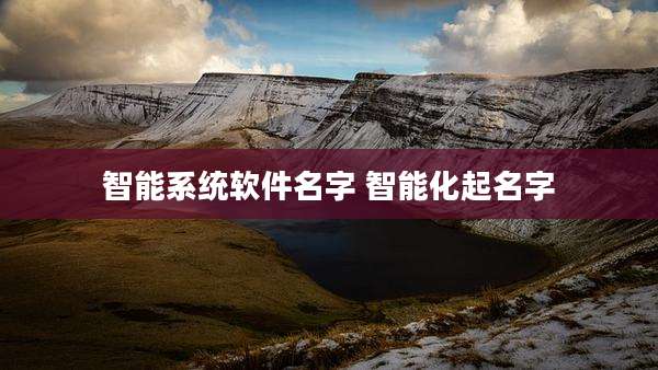 智能系统软件名字 智能化起名字