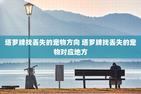 塔罗牌找丢失的宠物方向 塔罗牌找丢失的宠物对应地方