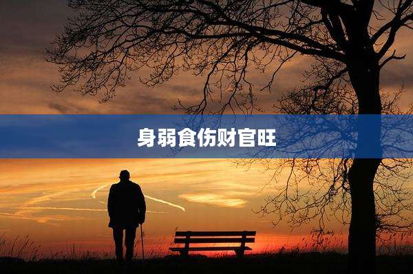 身弱食伤财官旺