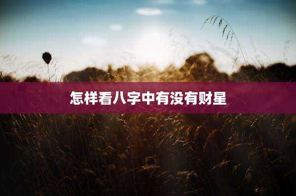 怎样看八字中有没有财星
