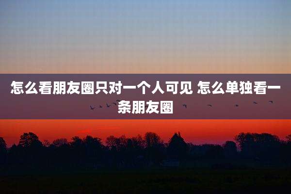 怎么看朋友圈只对一个人可见 怎么单独看一条朋友圈