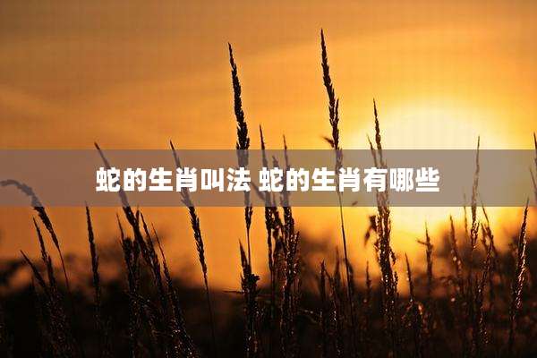 蛇的生肖叫法 蛇的生肖有哪些