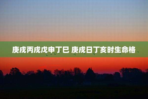 庚戌丙戌戊申丁巳 庚戍日丁亥时生命格