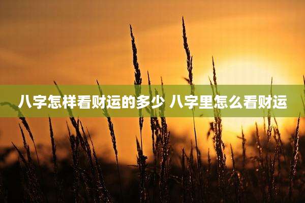 八字怎样看财运的多少 八字里怎么看财运