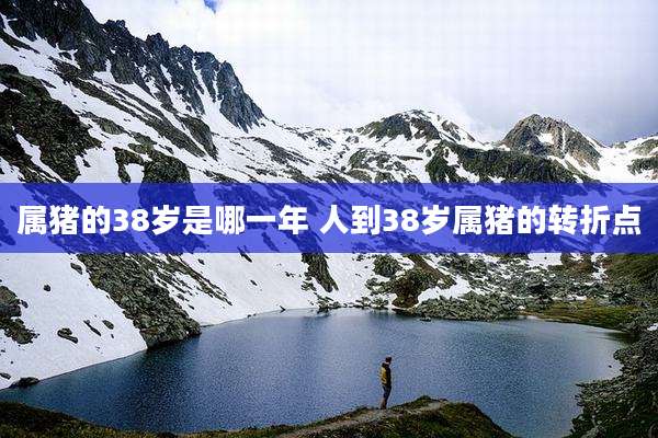 属猪的38岁是哪一年 人到38岁属猪的转折点