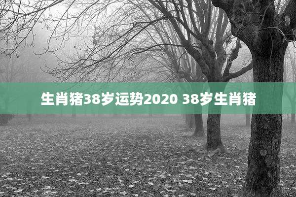 生肖猪38岁运势2020 38岁生肖猪