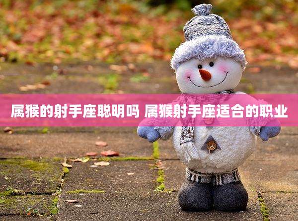 属猴的射手座聪明吗 属猴射手座适合的职业