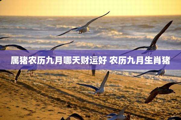 属猪农历九月哪天财运好 农历九月生肖猪