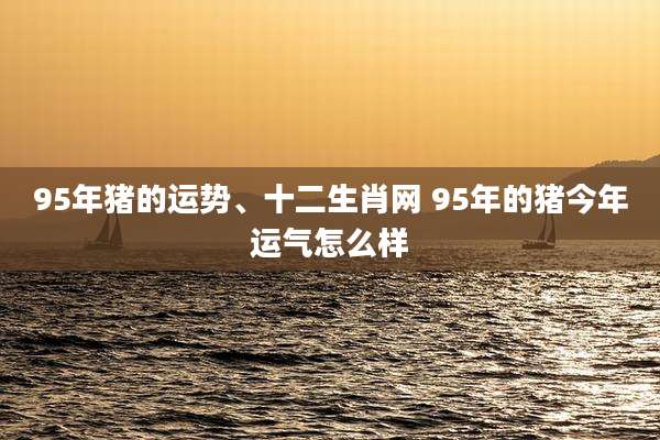 95年猪的运势、十二生肖网 95年的猪今年运气怎么样