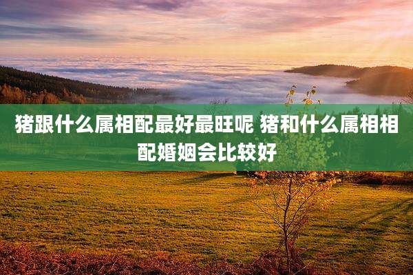 猪跟什么属相配最好最旺呢 猪和什么属相相配婚姻会比较好