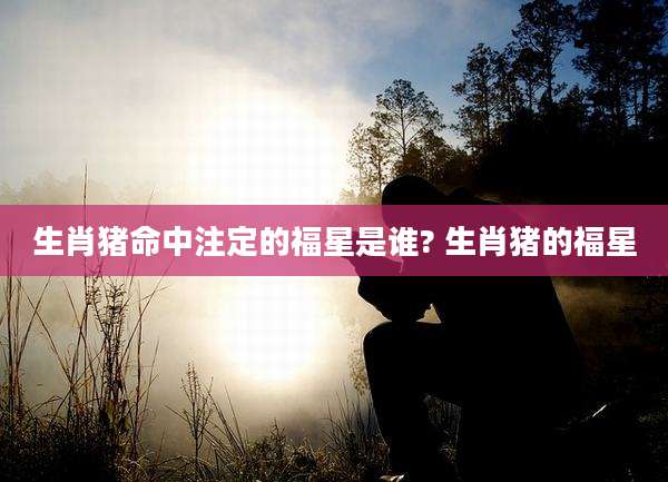 生肖猪命中注定的福星是谁? 生肖猪的福星