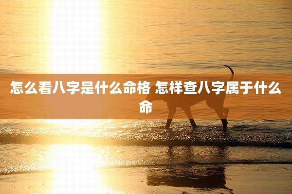 怎么看八字是什么命格 怎样查八字属于什么命