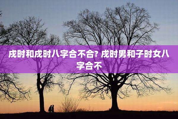 戌时和戌时八字合不合? 戌时男和子时女八字合不