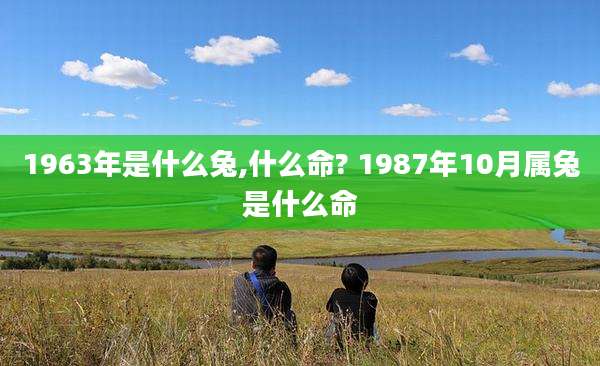 1963年是什么兔,什么命? 1987年10月属兔是什么命