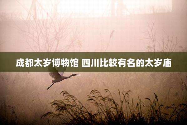 成都太岁博物馆 四川比较有名的太岁庙