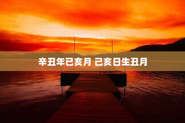 辛丑年已亥月 己亥日生丑月