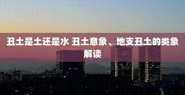 丑土是土还是水 丑土意象、地支丑土的类象解读