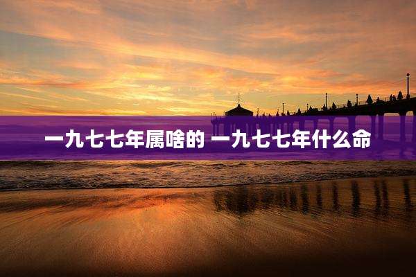 一九七七年属啥的 一九七七年什么命