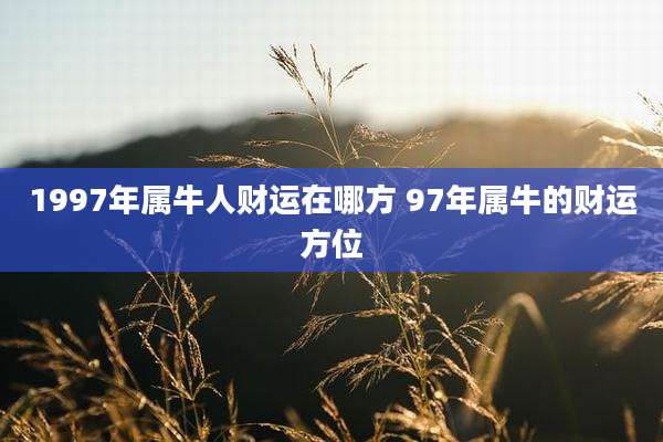 1997年属牛人财运在哪方 97年属牛的财运方位