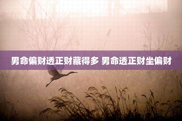男命偏财透正财藏得多 男命透正财坐偏财