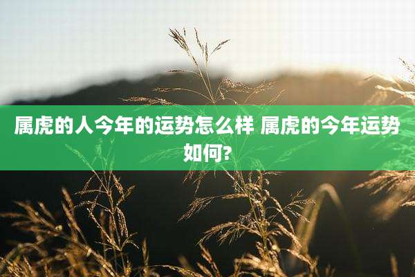 属虎的人今年的运势怎么样 属虎的今年运势如何?