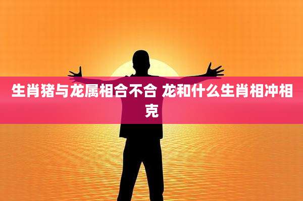生肖猪与龙属相合不合 龙和什么生肖相冲相克