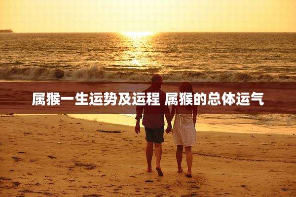 属猴一生运势及运程 属猴的总体运气