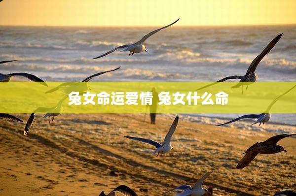 兔女命运爱情 兔女什么命