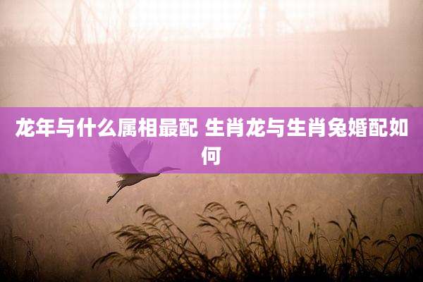 龙年与什么属相最配 生肖龙与生肖兔婚配如何