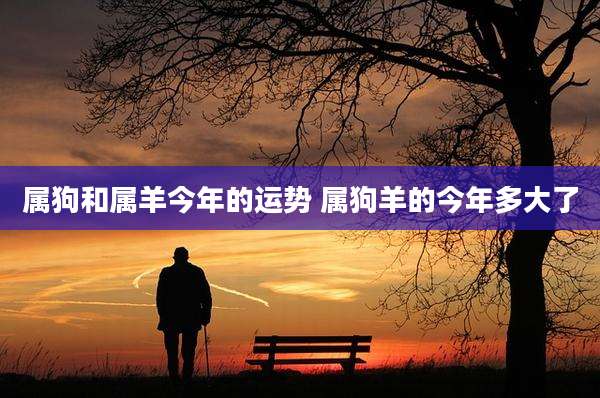 属狗和属羊今年的运势 属狗羊的今年多大了